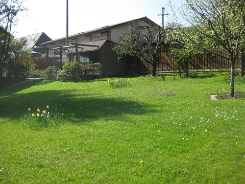 Rund ums Haus – Bild 4